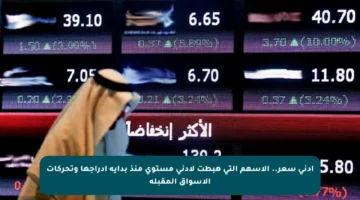 أدنى سعر.. الأسهم التي هبطت لأدنى مستوى منذ بداية إدراجها وتحركات الأسواق المقبلة
